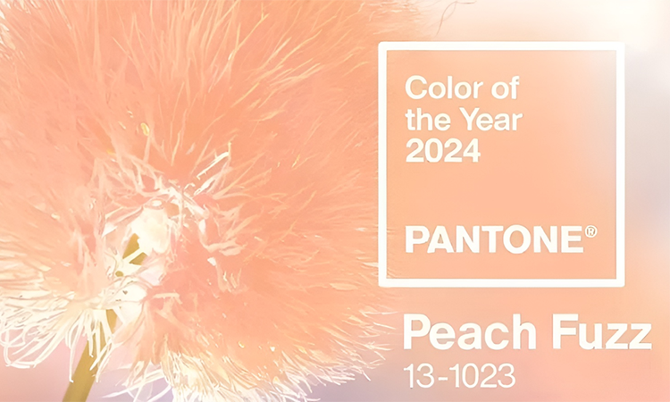 Институт цвета Pantone объявил главный цвет 2024 года.